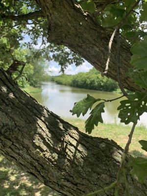 Lake Shelby