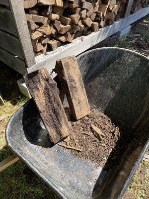 A couple sample pieces of the wood from the dirt bog.