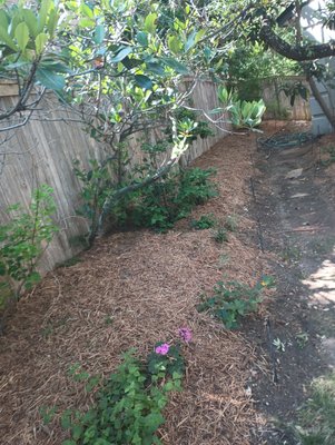 I can do Mulch jobs as well