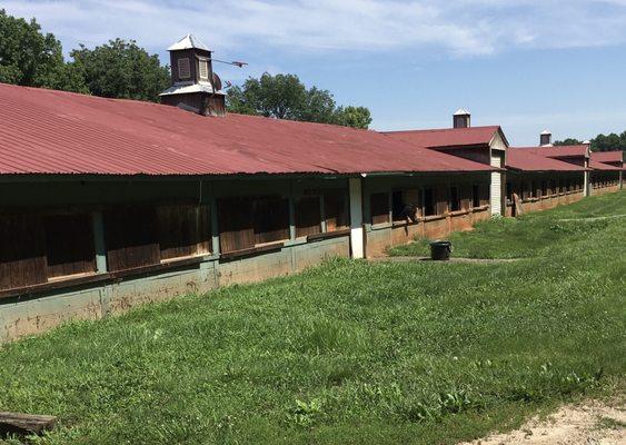 Every stall has a window to the outside of the barn for fresh air.