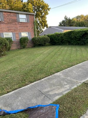 I trimmed bushes an cut grass