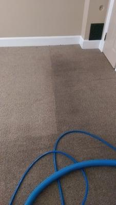 You will notice a huge difference after we clean your carpets.