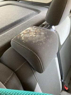 Moldy head rest courtesy of Courtesy Ford in Portland, Oregon.