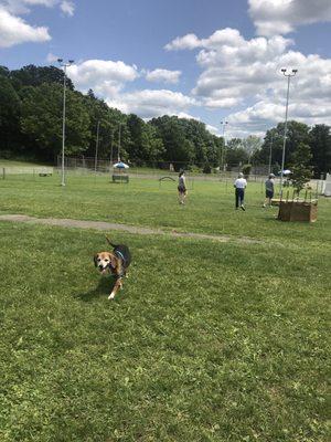 Craig Park Dog Park