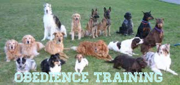 OBIDIENCE TRAINING