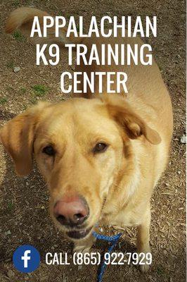 Appalachian K9 Training Center