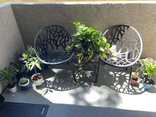 Some pots and plants we got at this location