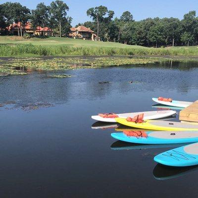 BeFree yoga hosted paddle board yoga at The Cascades, taught by the amazing Elise