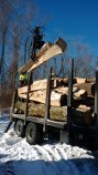 We buy select hardwoods from distinguished tree companies that work locally