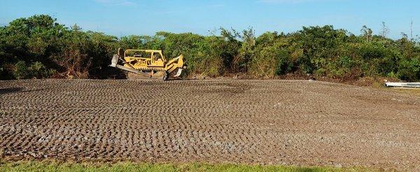 Half acre grubbed and graded to perfection in Hilo