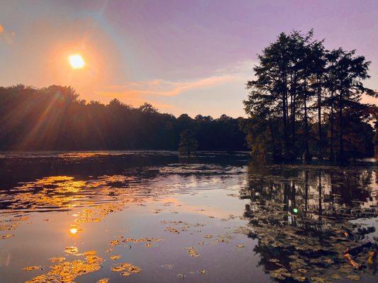 Trap Pond State Park