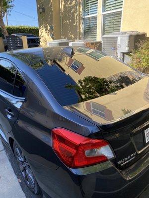 N Motion Window Tinting