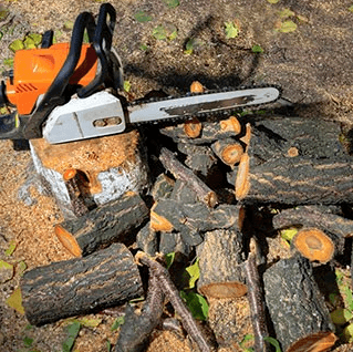 Andrew M Moore Tree Surgeon