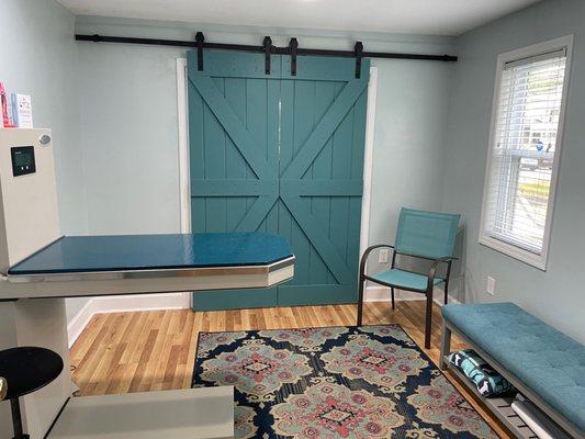 Dog exam room at Hampton Park Veterinary in Charleston, SC.