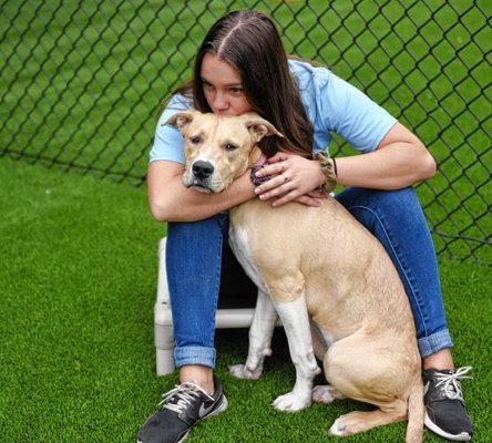 Rachael and Nomie Photo courtesy of The Daily Hampshire Gazette