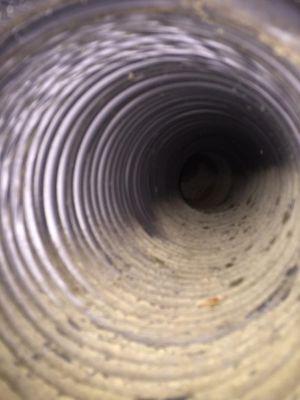 Flex duct cleaning before
CleanAir Dallas pro