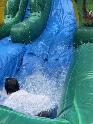 18ft tropical water slide