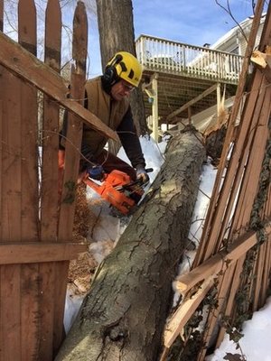 Emergency Tree Service