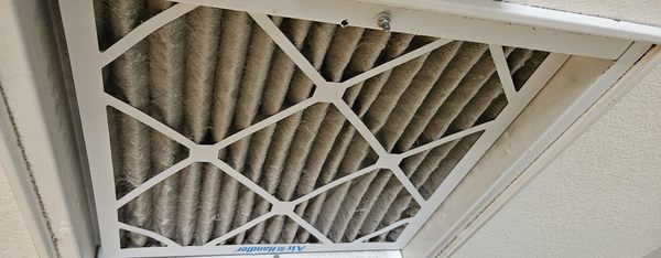 Disgusting AC filter