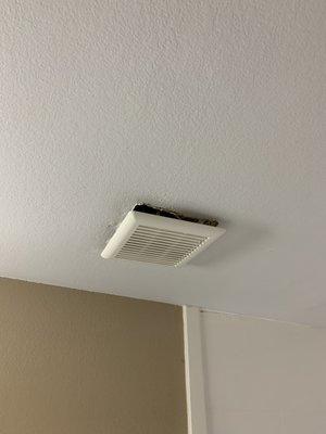 The bathroom exhaust fan is hanging from the ceiling. I wish you could hear how LOUD it is.