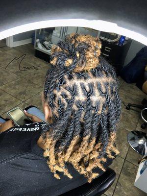 2strand twist