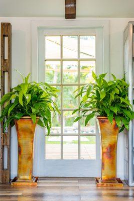 Burnished finish stainless planters