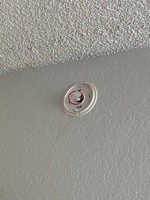 Removed fire detector