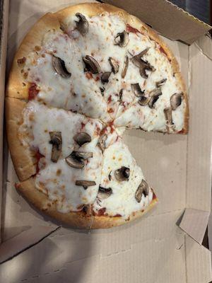 Mushroom pizza