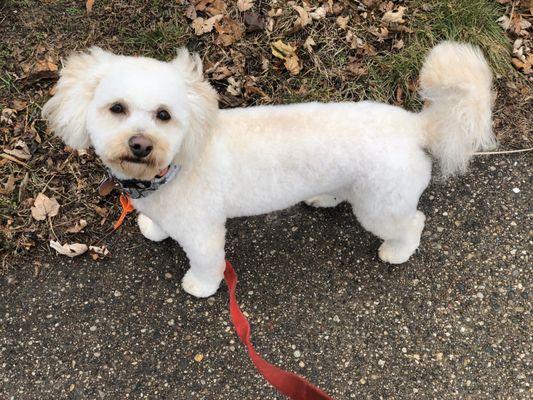 Cooper after his groom