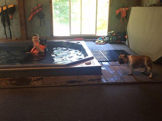 Cindy in the pool with our frenchie Cocoa Bean.