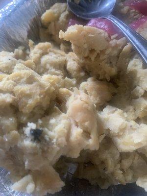 Mangu with a fly