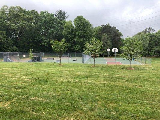 Skate park and basketball court