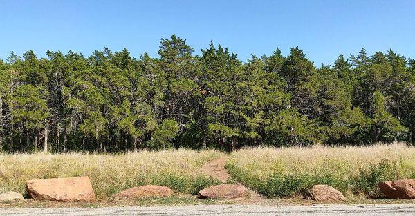 The Parallel Forest entrance/exit