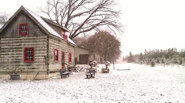 Look at our historic cabin! Come inside and warm up by our wood burning stove and have a complimentary cup of hot chocolate.