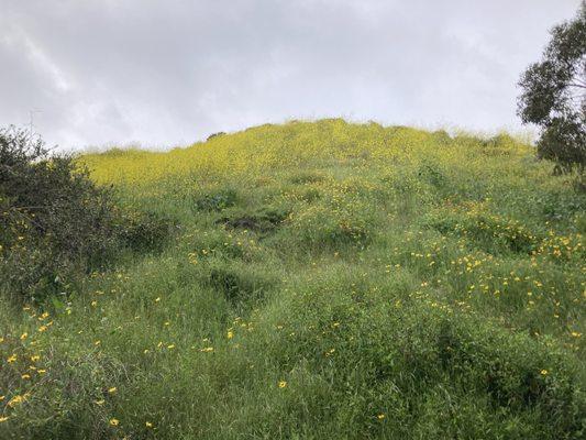 Pottery Canyon Natural Park