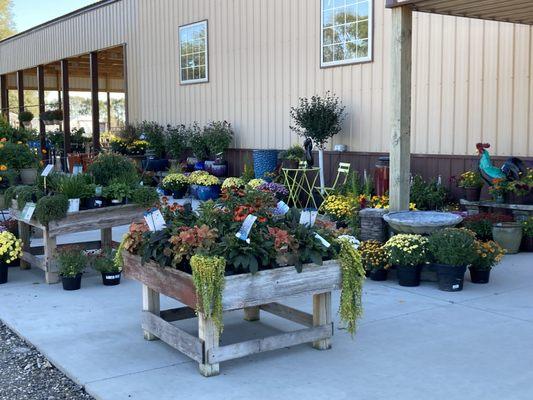 Fall at the Garden Center