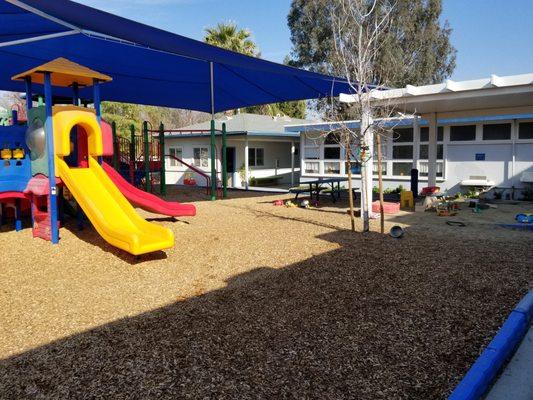 Our preschool play yard has a park like feeling with plenty of space for children to run and play.