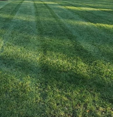 Mowing grass