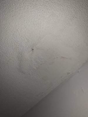 Water damage throughout ceiling