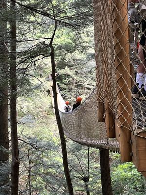 Suspension bridge