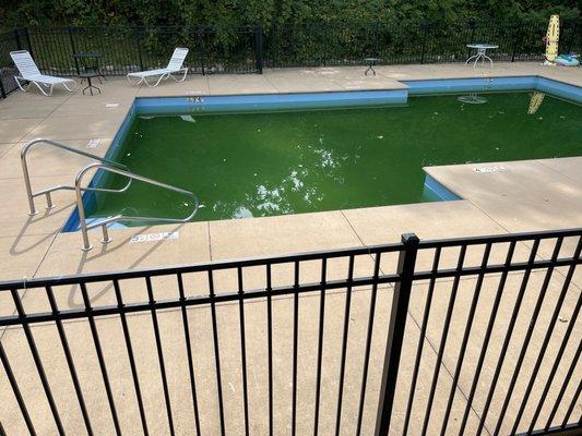 Unmaintained pool, verbally agreed upon its use for the weekend 4 months prior