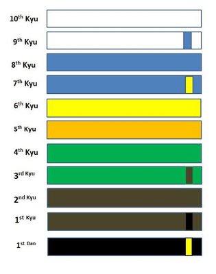 Belt ranking in Bushiken Karate