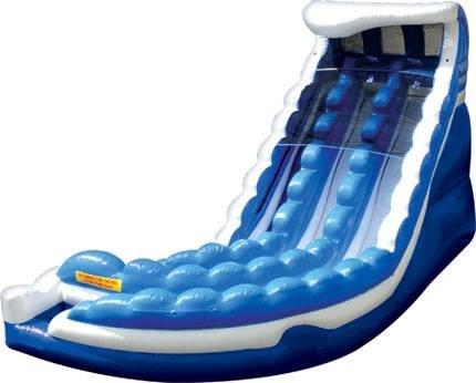 Sidewinder Water Slide Rental. Kids LOVE this double inflatable water slide for their birthday parties!