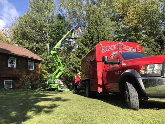 Truck, chipper, lift, Brendan (Bills son) and bill. This is how the work site look, clean when they were there and clean when they left!