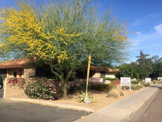 Our professional clinic on Lakeshore Dr, Tempe, AZ