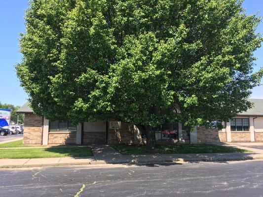 Exterior of business showing front door from parking lot