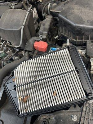 Air filter on a Honda accord 2017