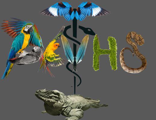 Avian & Exotic Veterinary