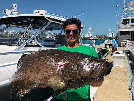 BASSZILLA, Fish on !!! This is not a fishing story, this Black Grouper made it to the dock !!!