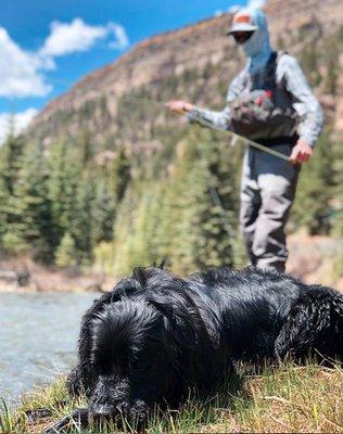 Telluride Fly Fishers